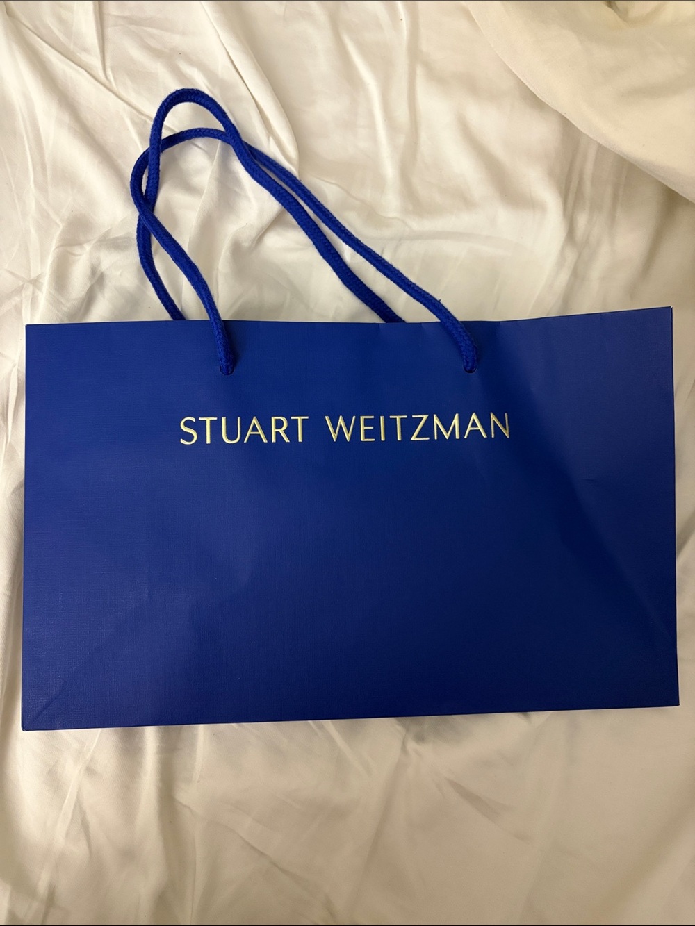 Stuart Weitzman Empty shopping Bag